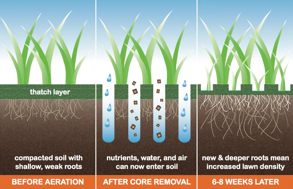 Core Aeration Process Diagram
