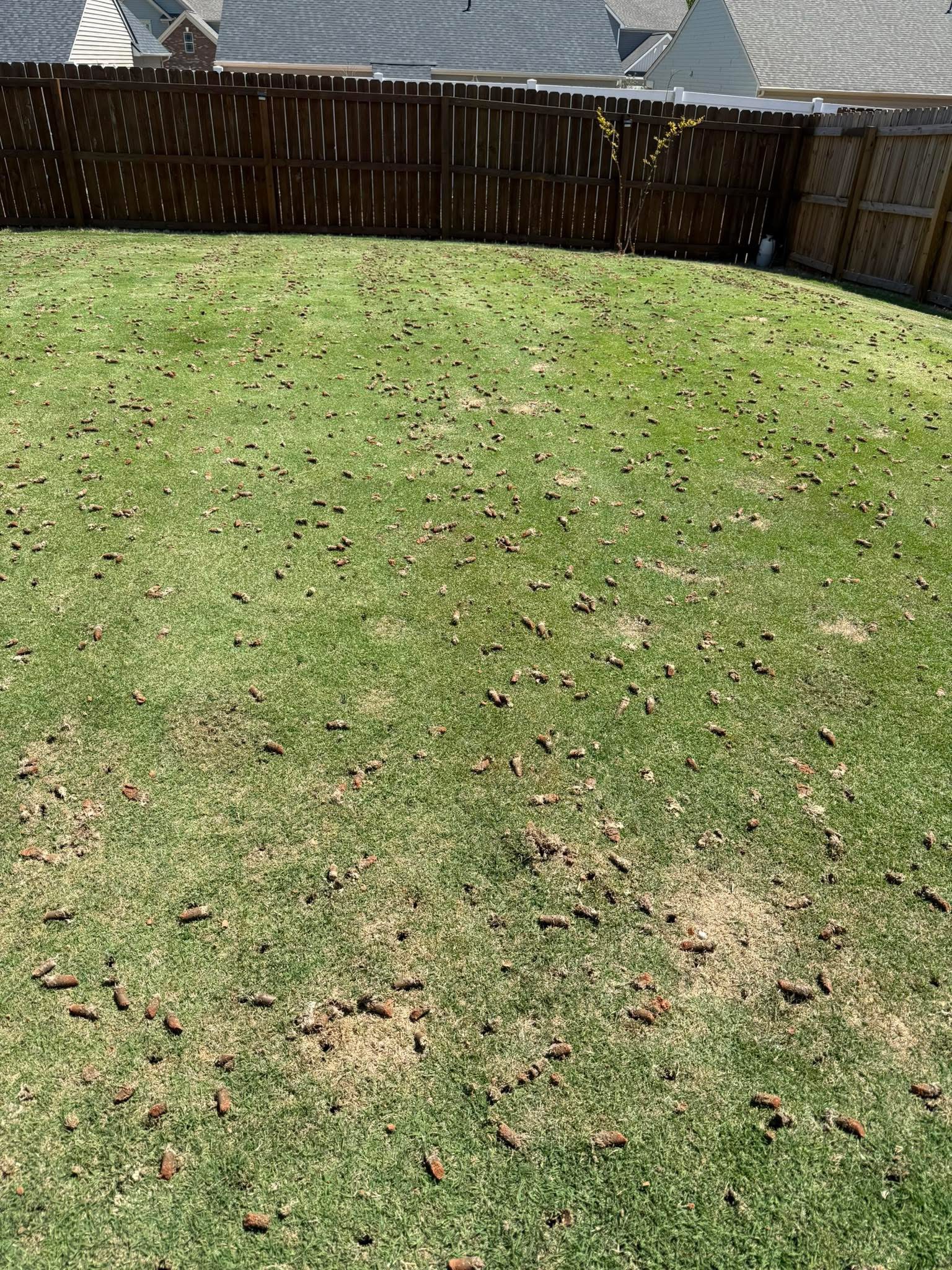 Lawn Care Work Example