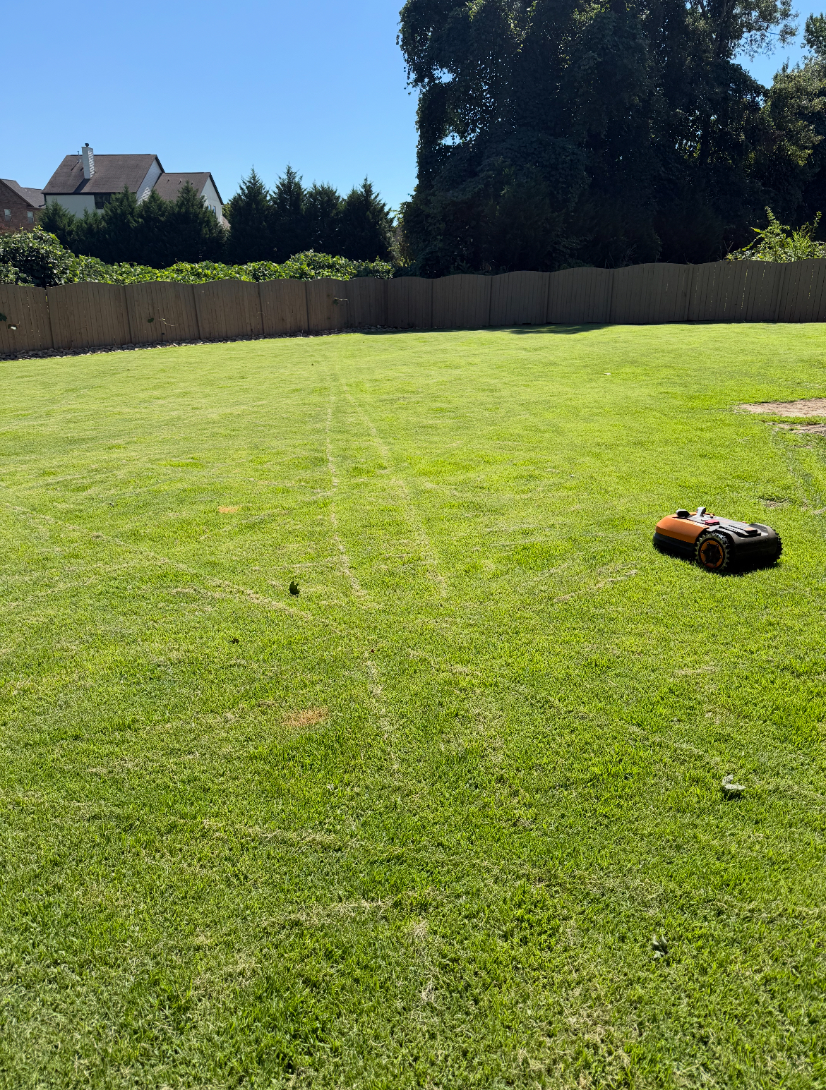 Lawn Care Work Example