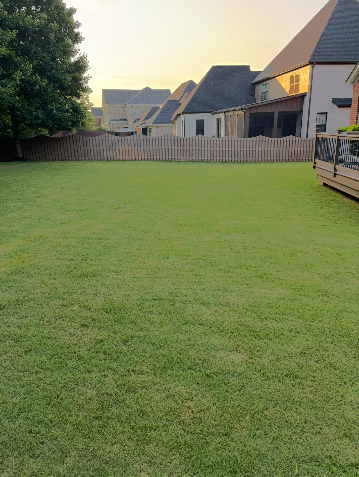 Lawn Care Work Example