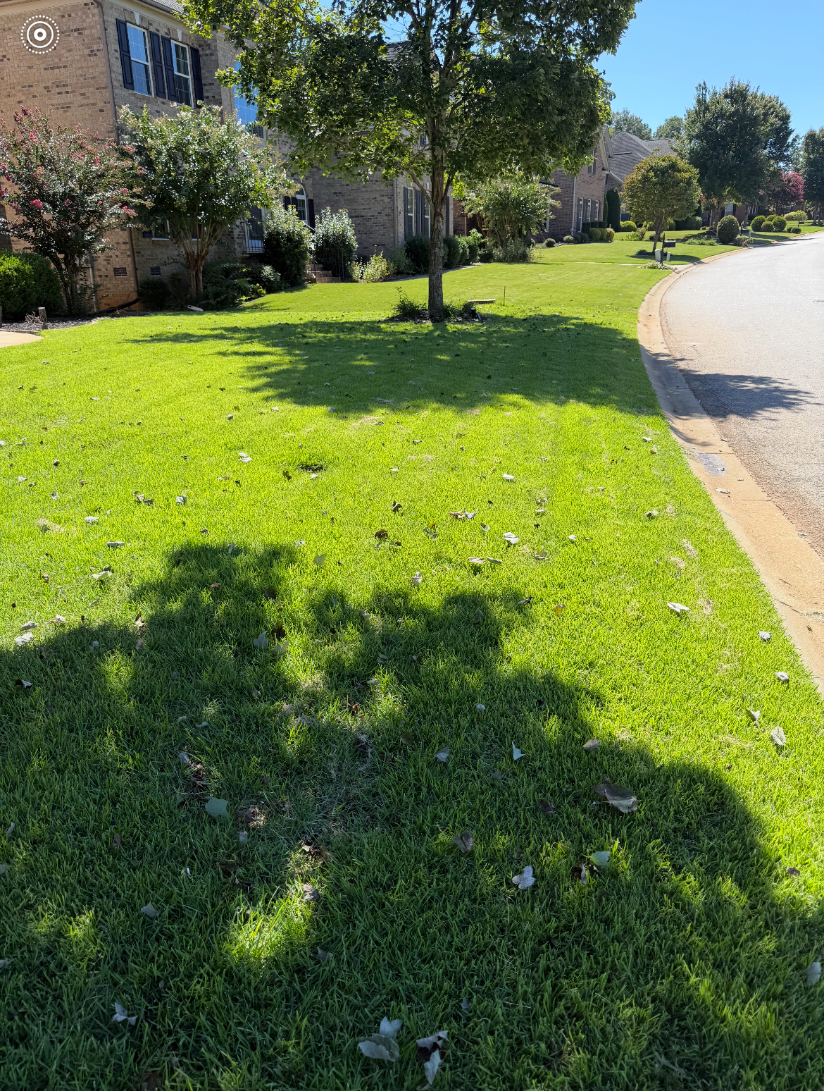 Lawn Care Work Example